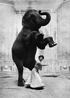 Miss Orford and her performing elephant Miss Orford and her performing elephant