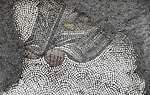 Mosaic of the Great Palace Mosaic Museum. Istanbul Mosaic of the Great Palace Mosaic Museum. Istanbul
