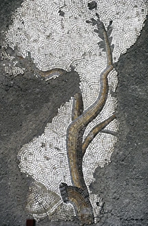 Mosaic of the Great Palace Mosaic Museum. Istanbul Mosaic of the Great Palace Mosaic Museum. Istanbul