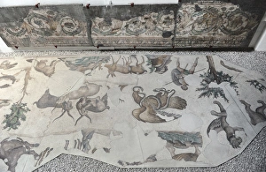 Mosaic of the Great Palace Mosaic Museum. Istanbul Mosaic of the Great Palace Mosaic Museum. Istanbul