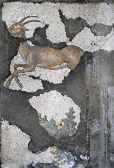 Mosaic of the Great Palace Mosaic Museum. Istanbul Mosaic of the Great Palace Mosaic Museum. Istanbul