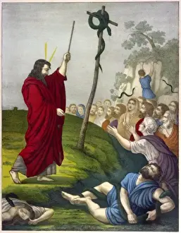 Biblical Art Prints: Moses & Brazen Serpent