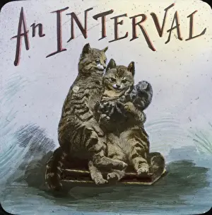 Boswell Collection Prints: Mottos - An Interval