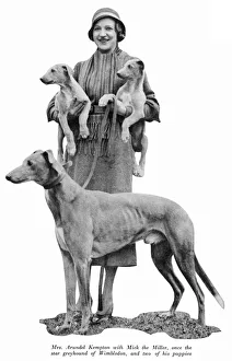 Mrs Arundel Kempton with Mick the Miller and Puppies Mrs Arundel Kempton with Mick the Miller and Puppies