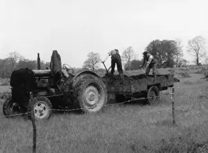 British Farming History Prints: Muck Spreading