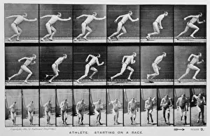 Muybridge Running Print