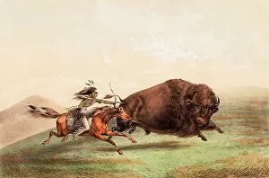 Bison Collection: The Native American Indian Buffalo Chase
