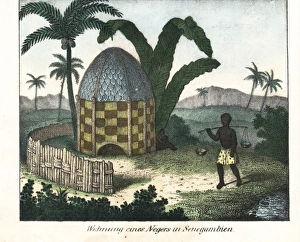 Native thatched hut under palm trees in Senegambia Native thatched hut under palm trees in Senegambia