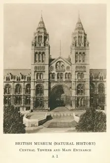 Natural History Museum Print, circa 1910s