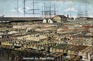 Naval stores at Savannah, Georgia, USA Naval stores at Savannah, Georgia, USA