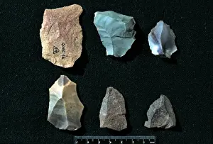 Neanderthalensis Prints: Neanderthal Stone Tools Print, Gorham's Cave, Gibraltar