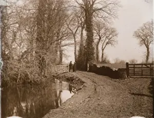Sepia Tone Images Prints: Near Bognor