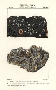 Pierre Turpin Illustrations Prints: Aphanite and chalcedony flint