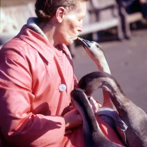 Woman and Goose Print, August 2021