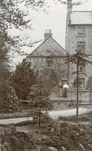 Monkey Puzzle Tree Prints: Unknown British town scene - with Monkey Puzzle tree
