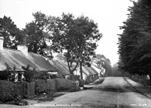 Prints of Newtownbreda, Ormeau Rd. Belfast - a rural street scene with cottages on the right and lady and dog. (Location: Northern Ireland: County Antrim: Belfast). Date: circa early 1900s Belfast Prints: Early 20th Century Newtownbreda Print, Belfast