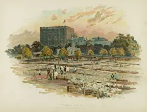 Victorian Era Photography Prints: Norwich Castle / C1895