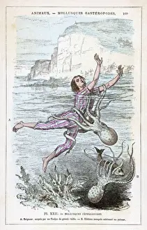 Octopi Prints: Octopus Attacks Bather Print