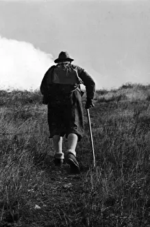 English Countryside Walks Prints: OLD HIKER