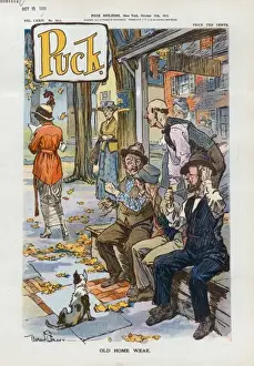 Vintage Cartoon Illustration Prints: Old home weak