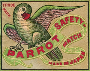 Old Japanese Matchbox label for Parrot Safety Matches Old Japanese Matchbox label for Parrot Safety Matches
