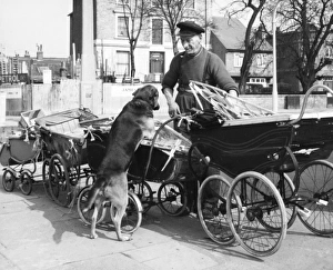 Old man with dog and pram, Balham, SW London Old man with dog and pram, Balham, SW London