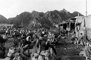 Caravan Prints: Oman / Mattrah: The Market Place Print, 1930s