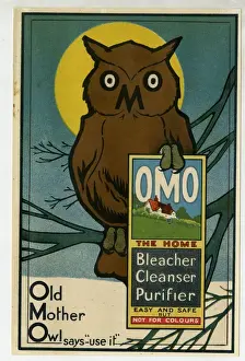 Prints of Omo Soap advertising insert -- Old Mother Owl. circa 1900 Related Prints: Early 20th Century Omo Soap Print - Old Mother Owl