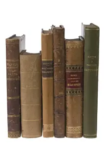 The Origin of Species First Edition Print