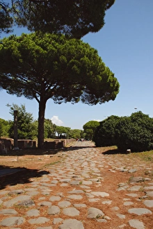 Ostia Antica. The Decumanus Maximus'. Detail of the paving Ostia Antica. The Decumanus Maximus'. Detail of the paving