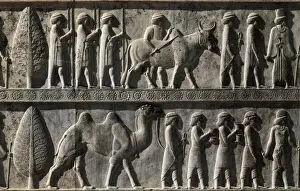 Iran Heritage Site Prints: Persepolis Palace of Darius Print, 6th-4th Century BCE