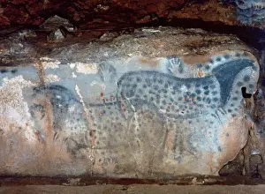 Cave Painting Prints: Pech Merle Cave Print: Magdalenian Era Horse and Fish