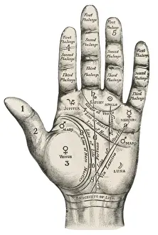 Alternative Medicine Prints: Palmistry Hand Print