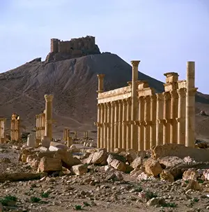 Palmyra, Syria - The Colonnade Print circa 1980s