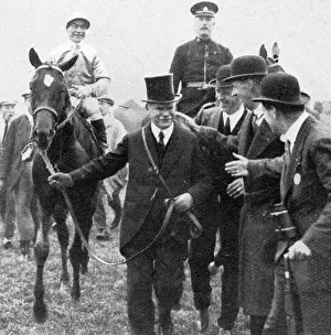 Papyrus, Derby winner 1923 Papyrus, Derby winner 1923