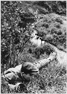 World War II Eastern Front Prints: Partisan Reconnaisance