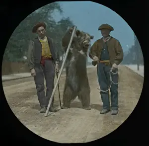 Lantern Slide Circa 1900 Prints: Performing Bear with Pole