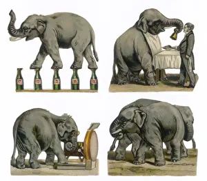 Performing Elephants Print
