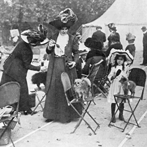 Perfuming probable prizewinners: dog show perfume, 1911 Perfuming probable prizewinners: dog show perfume, 1911