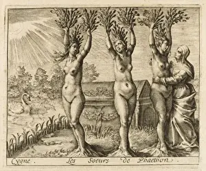 Phaeton's Sisters Transformed into Poplar Trees, Print