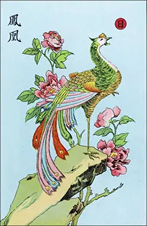 Chinese Mythical Creatures Prints: Phoenix (Chinese)