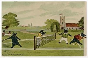 Humans Collection: Pigs Playing Tennis 1904