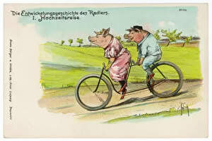 Humans Collection: Pigs Ride in Tandem 1898