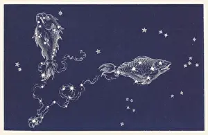 Pisces Constellation Print