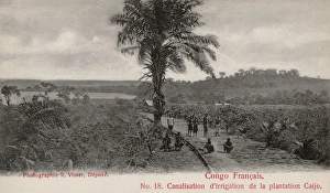 Plantation at Lake Caijo, French Congo Plantation at Lake Caijo, French Congo