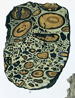 Plate 4, fig 2 Puddingstone - from Mineralienbuch Plate 4, fig 2 Puddingstone - from Mineralienbuch