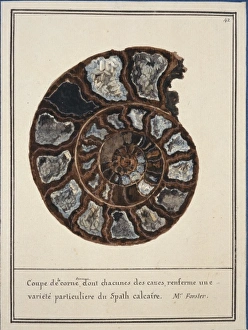 Plate 42 from Mineralogie Volume 1 (1790) Plate 42 from Mineralogie Volume 1 (1790)