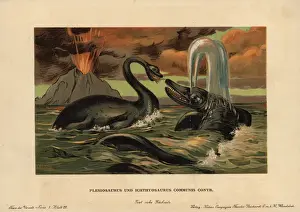 Plesiosaurus and Ichthyosaurus Print, 1910