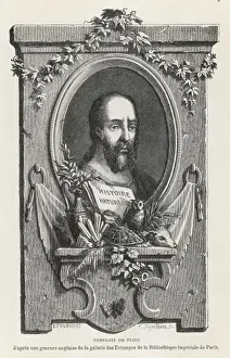 Pliny The Elder Prints: Pliny the Elder