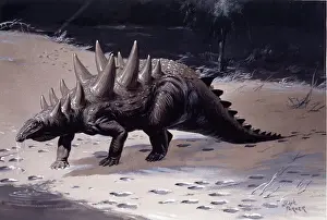 Prints of This dinosaur was from the family of armoured skinned dinosaurs, the Ankylosaurs. It was around 14 feet in length living around 125 million years ago. Fossils have been found in the Isle of Wight, UK Extinct Prints: Polacanthus Ankylosaur Print, Isle of Wight Fossil